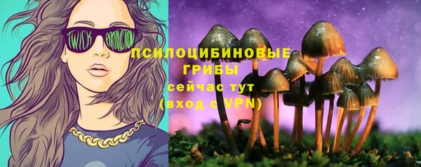 ГАЛЛЮЦИНОГЕННЫЕ ГРИБЫ Бородино