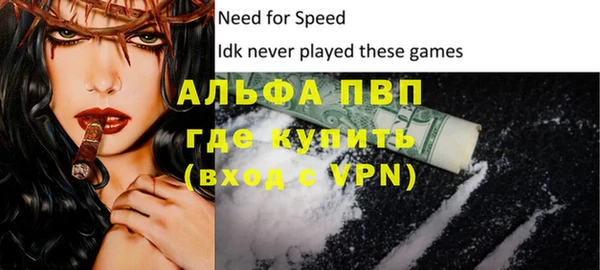 ГАЛЛЮЦИНОГЕННЫЕ ГРИБЫ Бородино