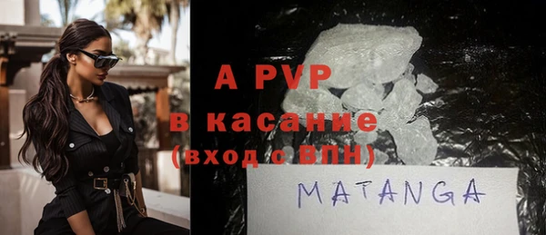 ECSTASY Белокуриха