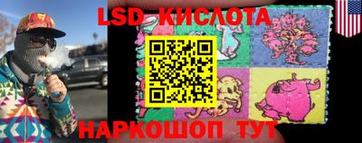 гидропоника Пенза