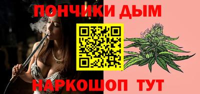 гидропоника Пенза