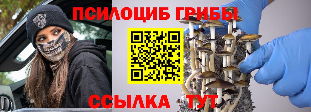 Галлюциногенные грибы ЛСД  Вход с VPN  Бутурлиновка 