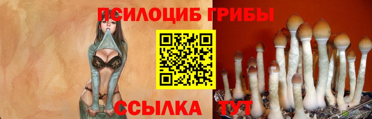 Галлюциногенные грибы GOLDEN TEACHER Бутурлиновка